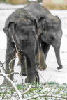 Zoo Praha